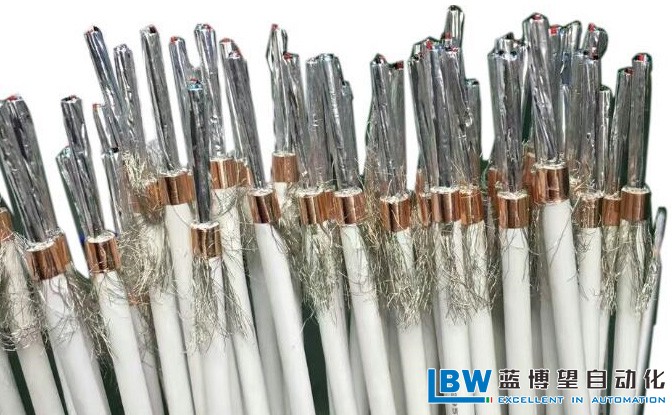 藍(lán)博望自動(dòng)化